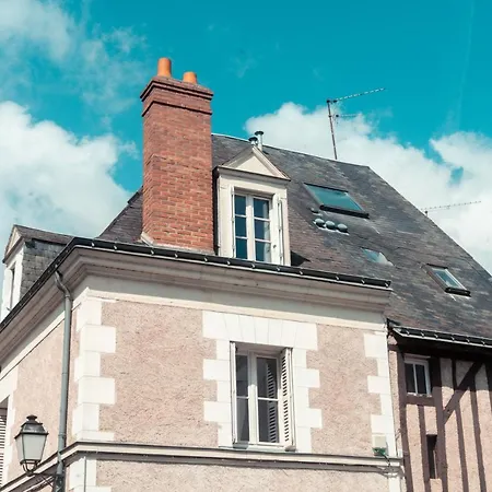 Le Noeud Du Diable - T3 Spacieux Tours Exterior photo