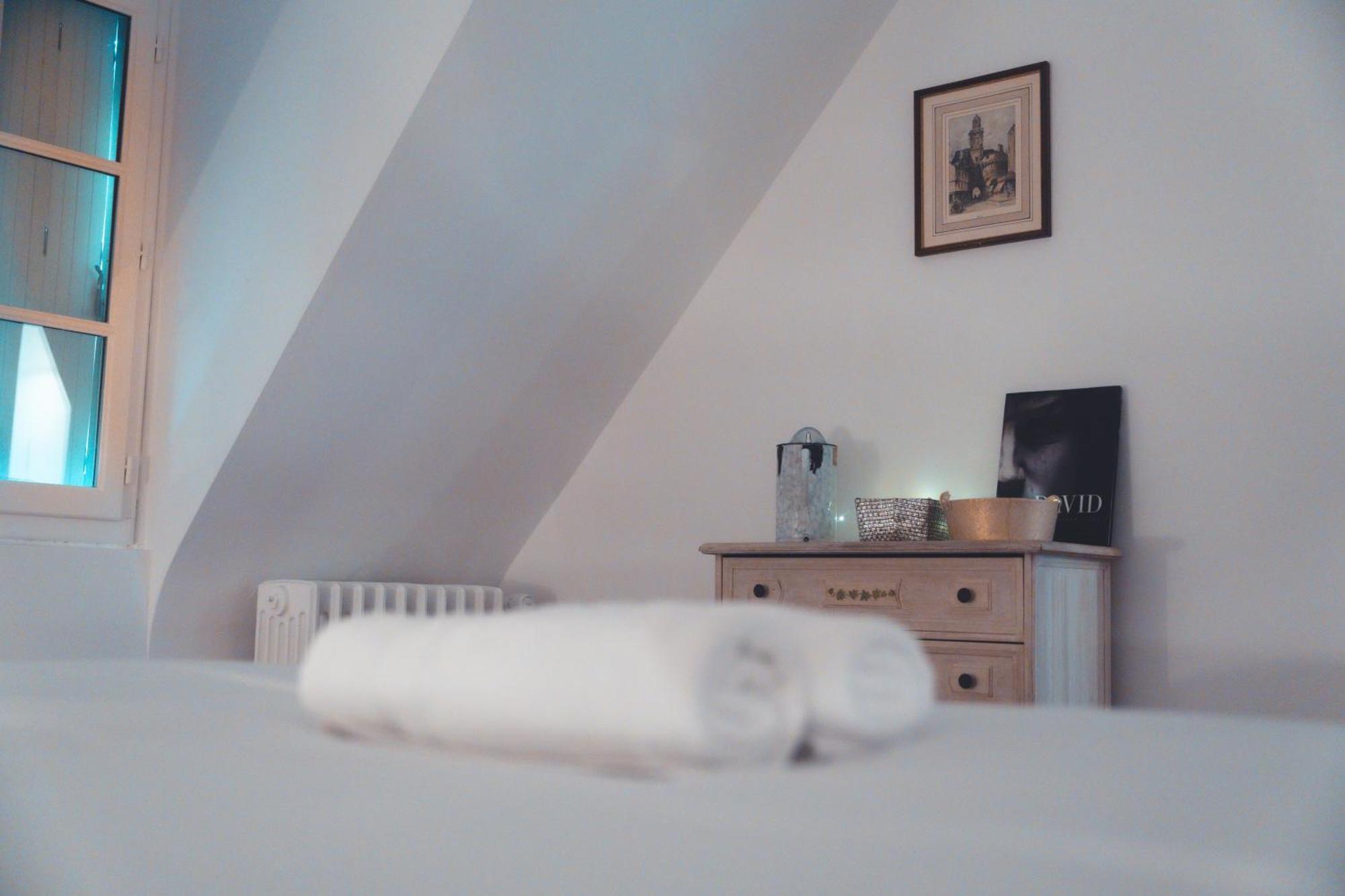 Apartment Le Noeud Du Diable - T3 Spacieux Tours
